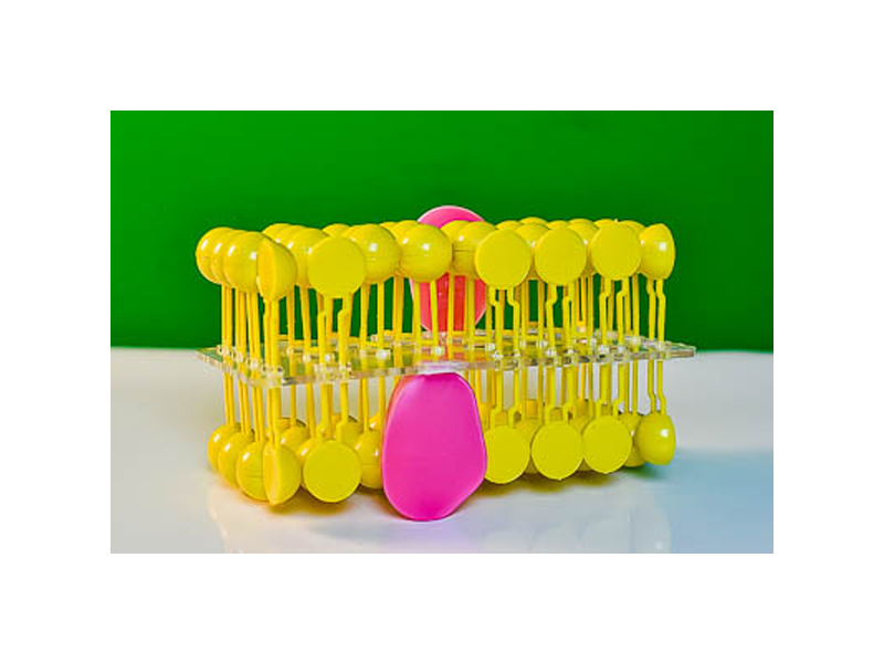 item_1828