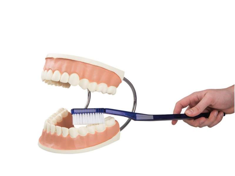 item_1886