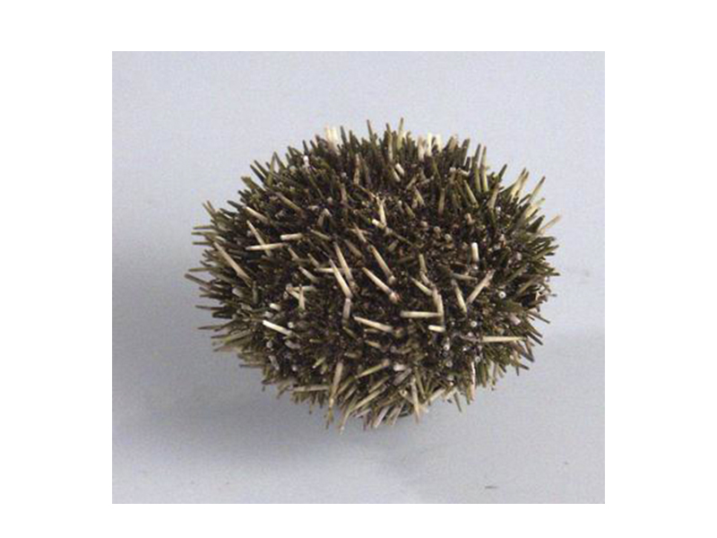item_1979